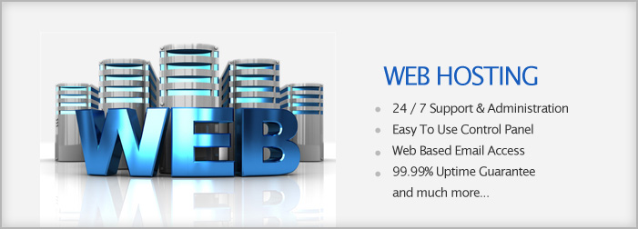 Web Hosting Web Hosting